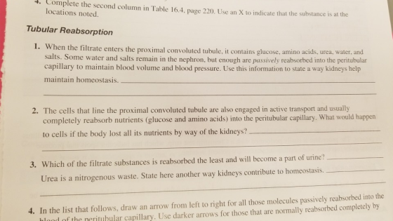 Complete 4. the second column in Table 16.4, page 220. Use an X to indicate that the substance is at the locations noted. Tubular Reabsorption 1. When the filtrate enters the proximal convoluted tubule, it contains glucose, amino acids, urea, water, and salts. Some water and salts remain in the nephron, but enough are passively reabsorbed into the peritubular capillary to maintain blood volume and blood pressure. Use this information to state a way kidneys help maintain homeostasis 2. The cells that line the proximal convoluted tubule are also engaged in active transport and usually completely reabsorb nutrients (glucose and amino acids) into the peritubular capillary. What would happen to cells if the body lost all its nutrients by way of the kidneys? 3. Which of the filtrate substances is reabsorbed the least and will become a part of urine? Urea is a nitrogenous waste. State here another way kidneys contribute to homeostasis 4. In the list that follows, draw an arrow from left to right for all those molecules passively reabsorbed into the l nf the nerituhular capillary. Use darker arrows for those that are normally reabsorbed completely by