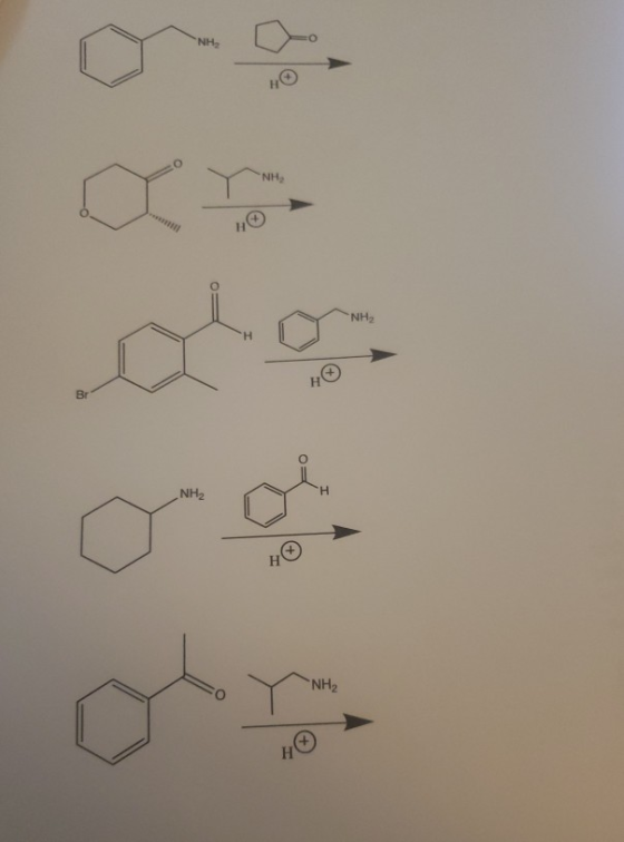 H NH2 NH2