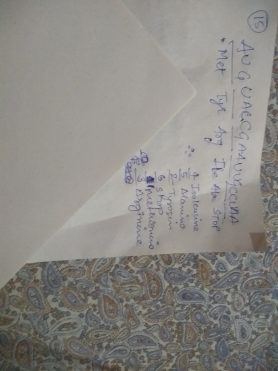 4 Jso leucine