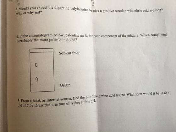 3, Would you expect the dipeptide valylalani Why or why not? alanine to give a positive reaction with nitric acid solution? 4. In the chromatogram below, calculate an Re for each component of the mixture. Which componert is probably the more polar compound? Solvent front Origin From a book or Internet source, find the pl of the amino acid lysine. What form would it be in pH of 7.0? Draw the structure of lysine at this pH at a 5.