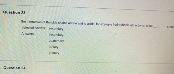 Question 23 struct The interaction of the side chains on the amino acids, for example hydrophobic attractions, is the Selecte