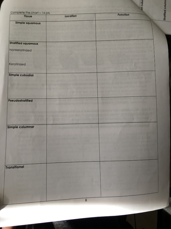 Complete the chart 14 pts Function Tissue Location Simple squamous Stratified squamous US Nonkeratinized Keratinized Simple cubodial Pseudostratified Simple columnar Transitional