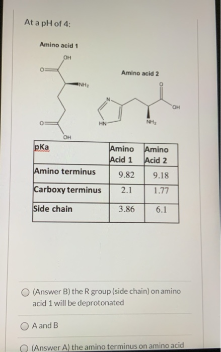 At a pH of 4: Amino acid 1 OH Amino acid 2 NH OH HN NH, OH pka Amino Amino Acid 1 Acid 2 9.82 9.18 Amino terminus Carboxy ter