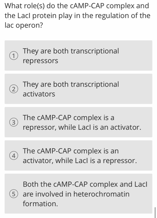 What role(s) do the CAMP-CAP complex and the Lacl protein play in the regulation of the lac operon? They are both transcripti