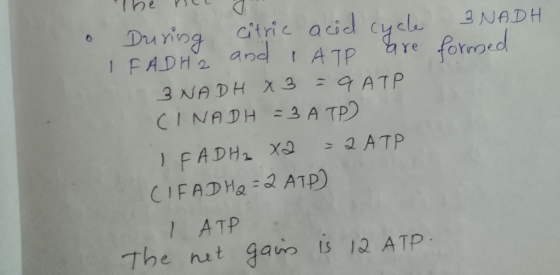 . 3 NADH formed The PCL 3 During citric acid cycle IFADH2 and ATP are 3 NADH X 3 - 9 ATP CINADH =3 ATP) IFADH₂XQ = 2 ATP CIFA