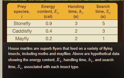 Prey species, Energy content, E, (cal) 0.9 0.4 0.2 Stonefly Caddisfly Mayfly Handing time, h, (s) 3 2 2 Search time, S. (s) 5