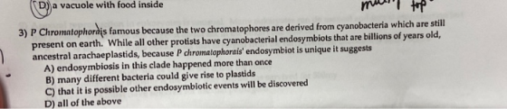 ( vacuole must top 3) P Chromatophordis famous because the two chromatophores are derived from cyanobacteria which are still