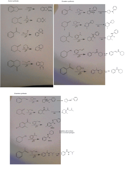 Acetal synthesis Enamine synthesis b ol.com contores Olerooro Enamine synthesis ooomcom enamina will not form since no beta h