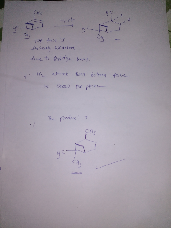 CHs Ctt Top face tenaus hindo red he Beeu the plan