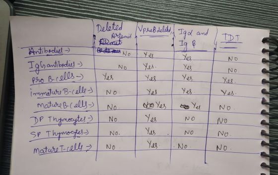 I Deleted Upreb deleted, - Artemis & Igl and TDJ No Yes - Yes No. Yes. Yes Yes Antibodies - Noya Tobantibodies - No Yes pro B