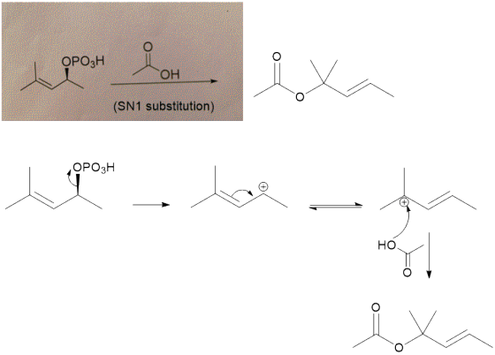 OPO3H он (SN1 substitution) OP03H