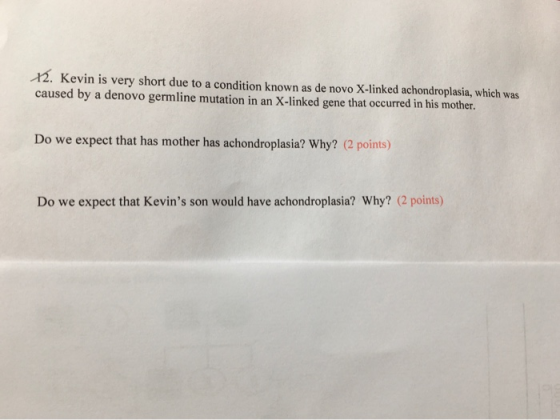 12. Kevin is very short due to a condition known as de novo X-linked achondroplasia, which was caused by a denovo germline mu