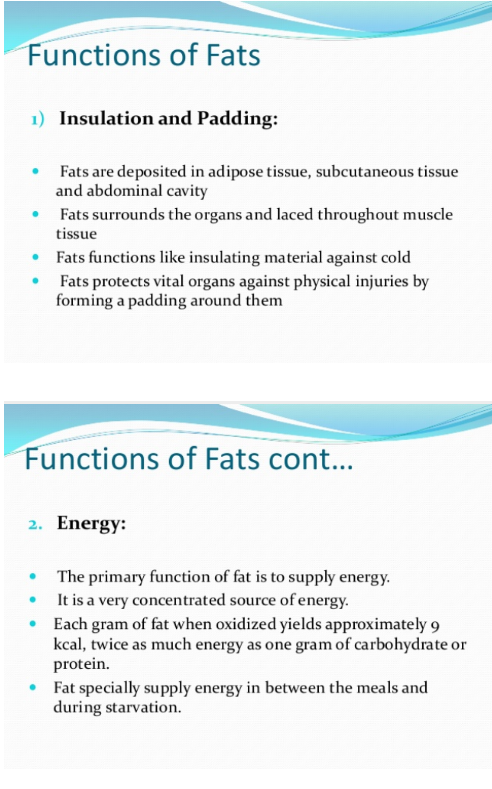 Functions of Fats 1 Insulation and Padding: Fats are deposited in adipose tissue, subcutaneous tissue and abdominal cavity Fa