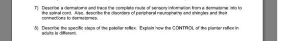 7) Describe a dermatome and trace the complete route of sensory information from a dermatome into to the spinal cord. Also, describe the disorders of peripheral neurophathy and shingles and their connections to dermatomes. 8) Describe the specific steps of the patellar reflex. Explain how the CONTROL of the plantar reflex in adults is different.