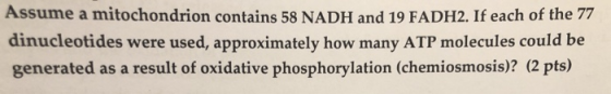 Assume a mitochondrion contains 58 NADH and 19 FADH2. If each of the 77 dinucleotides were used, approximately how many ATP m