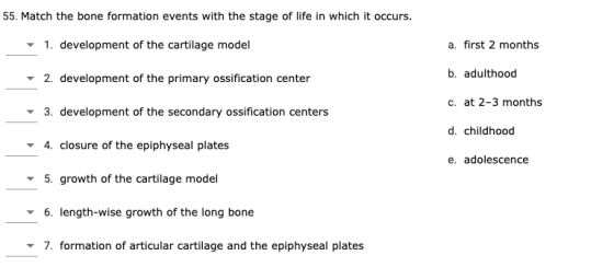 55. Match the bone formation events with the stage of life in which it occurs. 1. development of the cartilage model a. first