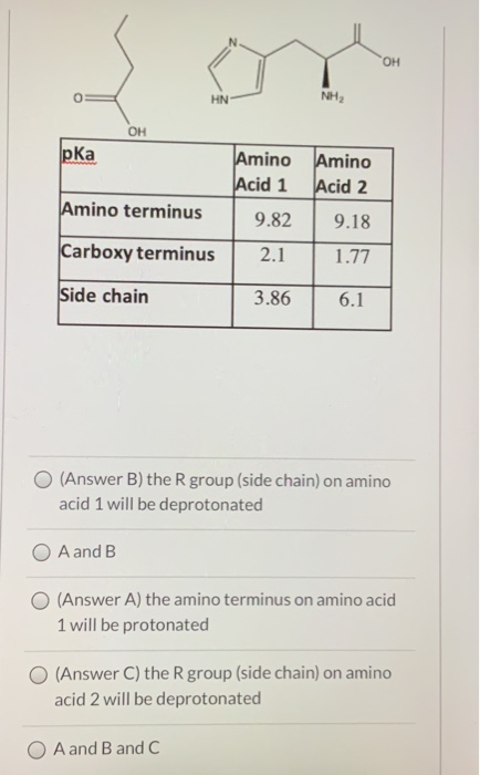 OH HN OH pka Amino Acid 1 Amino Acid 2 Amino terminus 9.82 9.18 Carboxy terminus 2.1 1.77 Side chain 3.86 6.1 O (Answer B) th