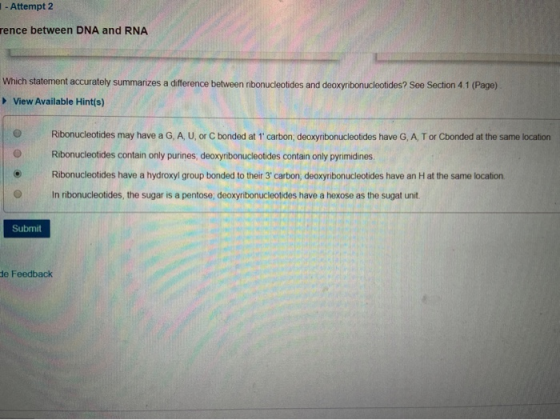 - Attempt 2 rence between DNA and RNA Which statement accurately summarizes a difference between ribonucleotides and deoxyrib