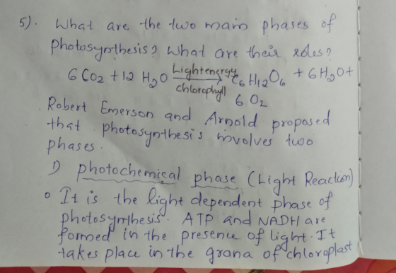 5). What are the two main phases of Photosynthesis? What are their edes? 6CO2 + 12 H₂o Lightenerques HigO6 + 6 Hoot | Robert