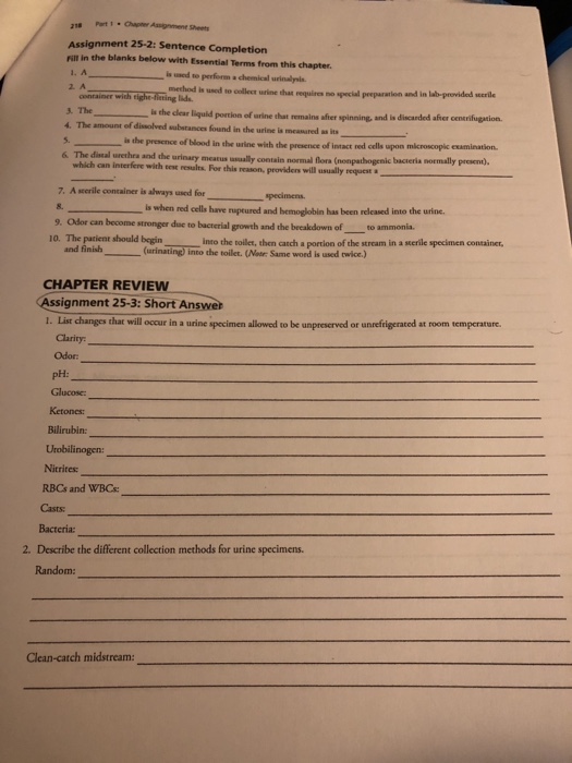 Assignment 25-2: Sentence Completion in the banks below with Essentials from this chapter 1. A 2 A de were the perpendide The
