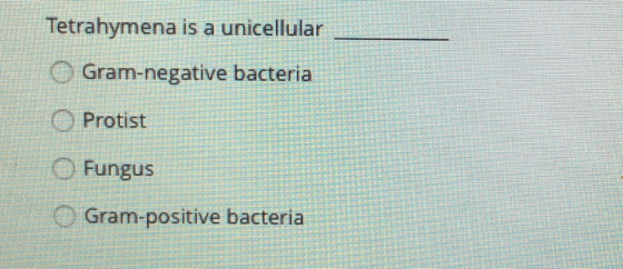 Tetrahymena is a unicellula Gram-negative bacteria Protist Fungus Gram-positive bacteria