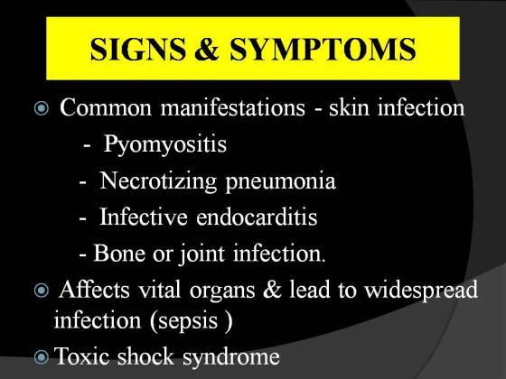 SIGNS & SYMPTOMS O Common manifestations - skin infection Pyomyositis - Necrotizing pneumonia - Infective endocarditis - Bone or joint infection. o Affects vital organs & lead to widespread infection (sepsis ) o Toxic shock syndrome