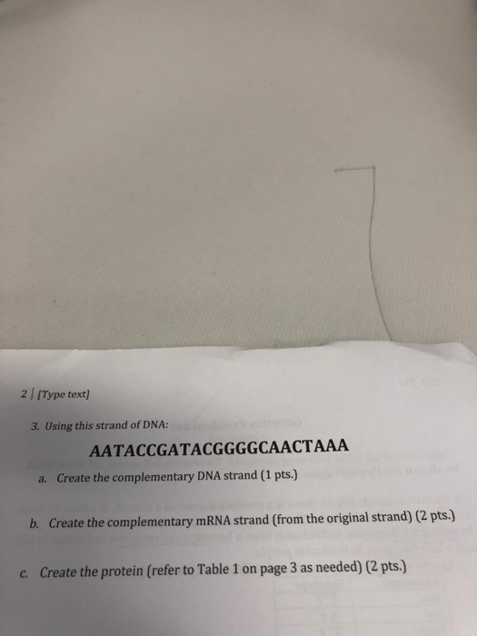 2 [Type text] 3. Using this strand of DNA: AATACCGATACGGGGCAACTAAA a. Create the complementary DNA strand (1 pts.) b. Create the complementary mRNA strand (from the original strand) (2 pts) c. Create the protein (refer to Table 1 on page 3 as needed) (2 pts.)
