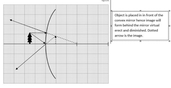 Object is placed in in front of the convex mirror hence image will form behind the mirror virtual erect and diminished. Dotte