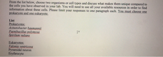 From the list below, choose two organisms or cell types and discuss what makes them unique compared to the cells you have obs
