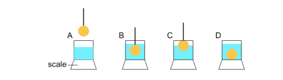 scale