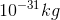 10-31 kg