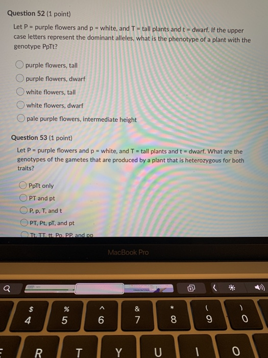 Question 52 (1 point) Let P = purple flowers and p = white, and T - tall plants and t = dwarf. If the upper case letters repr