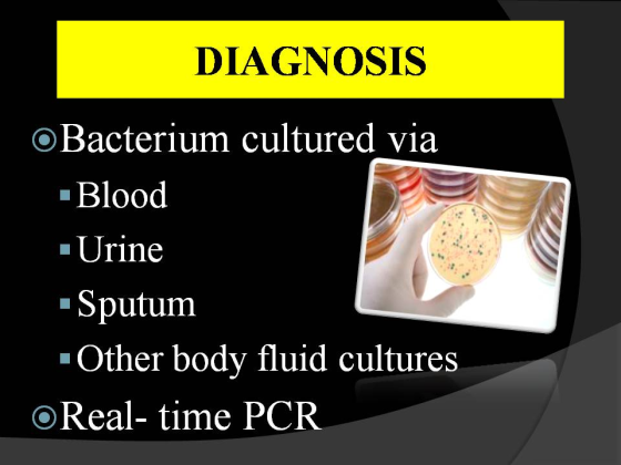 DIAGNOSIS OBacterium cultured via Blood Urine Sputum Other body fluid cultures OReal- time PCR