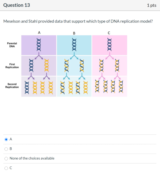 Question 13 1 pts Meselson and Stahl provided data that support which type of DNA replication model? war > XBOXo XOOOO Parent
