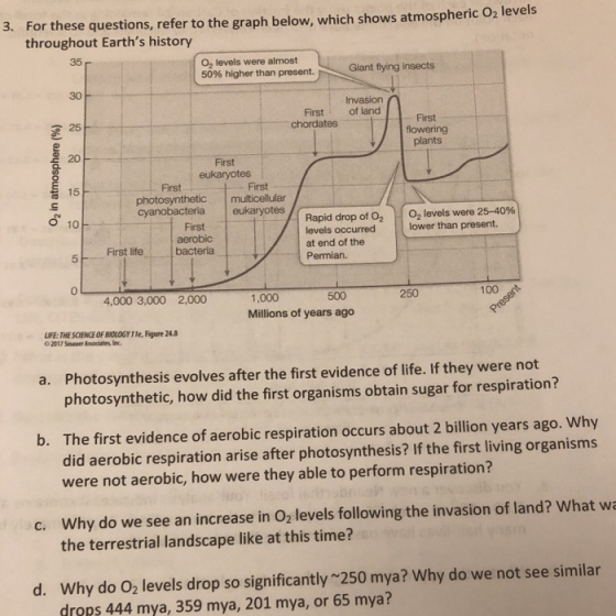 For these questions, refer to the graph below, which shows atmospheric O2 levels throughout Earths history 3. 35 O2 levels were almost 50% higher than present. Giant flying insects 30 Invasion First of land chordates 25 First plants 20 First eukaryotes 15 First photosynthetic multicellular cyanobacteria eukaryotes 02 levels were 25-40% lower than present. O 10 Rapid drop of 02 levels occurred at end of the Permian. First 5 irst lite bacteria 0 4,000 3,000 2,000 100 1,000 Millions of years ago 500 250 LIFE: THE SCIENCE OF BIOLOGY 11e, Figure 24.8 O2017 Sinaser Associates, Inc. Photosynthesis evolves after the first evidence of life. If they were not photosynthetic, how did the first organisms obtain sugar for respiration? a. The first evidence of aerobic respiration occurs about 2 billion years ago. Why did aerobic respiration arise after photosynthesis? If the first living organisms were not aerobic, how were they able to perform respiration? b. Why do we see an increase in O2 levels following the invasion of land? What wa the terrestrial landscape like at this time? c. d. Why do O2 levels drop so significantly 250 mya? Why do we not see similar dreps 444 mya, 359 mya, 201 mya, or 65 mya?