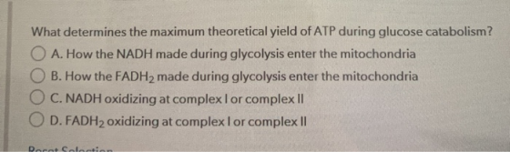 What determines the maximum theoretical yield of ATP during glucose catabolism? O A. How the NADH made during glycolysis ente