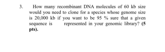 How many recombinant DNA molecules of 60 kb size w