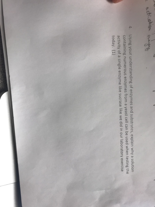 activation energy 4. Using your understanding of enzymes and substrates, explain why a solution containing numerous enzymes f