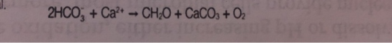 2HCO; + Ca?* - CH,0 +CaCO3 + O2