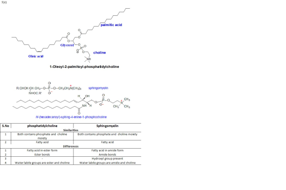 5)c) palmitic acid Glycerol - 80 choline Oleic acid 1-Oleoyl-2-palmitoyl-phosphatidylcholine R.CHOH.CH.CH2-O-P-O-CH2CH2N (CH3