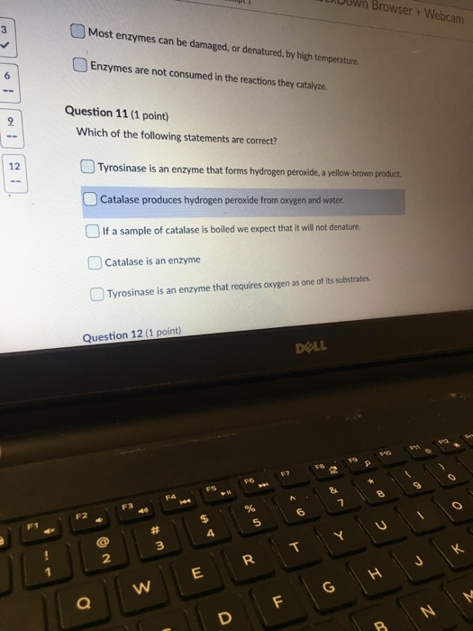 ILDUwn Browser + Webcam Most enzymes can be damaged, or denatured, by high temperature. Enzymes are not consumed in the react