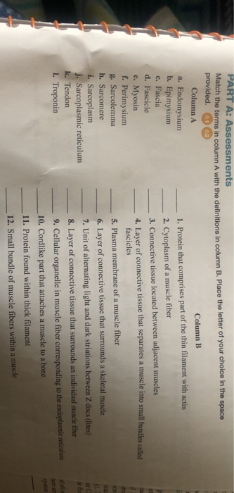 PART A: Assessments match the terms in column A with the definitions in column B. Place the letter of your choice in the spac