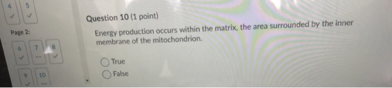 4 5 Page 2: Question 10 (1 point) Energy production occurs within the matrix, the area surrounded by the inner membrane of th