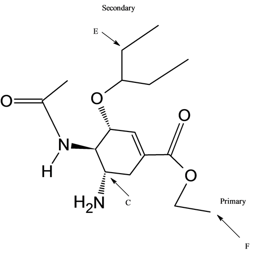 Secondary
Е
N
Н
НaN
Primary
C
ll

