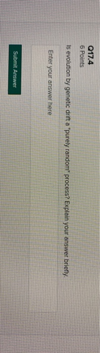 Q17.4 6 Points Is evolution by genetic drift a purely random process? Explain your answer briefly. Enter your answer here S