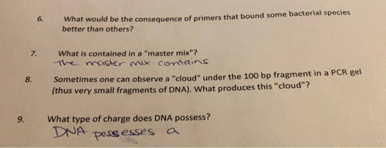 What would be the consequence of primers that bound some bacterial species better than others? What is contained in a master