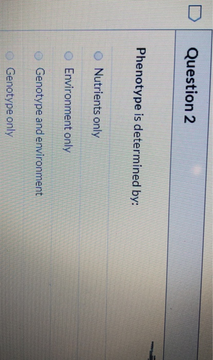 Question 2 Phenotype is determined by: O Nutrients only Environment only Genotype and environment Genotype only