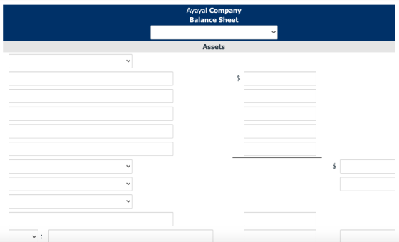Ayayai Company Balance Sheet Assets $ $ > > ✓
