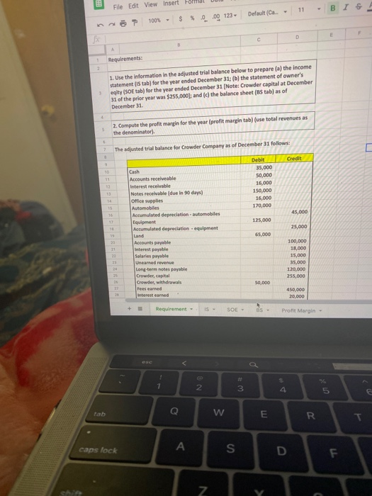 File Edit View Insert Ford Dulu Ö7 100% - $ $ .00 123 Default (Ca. 11 - B IG Requirements: 1. Use the information in the adju