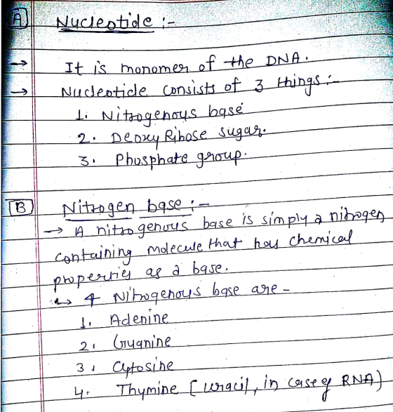 3 3 olecule that